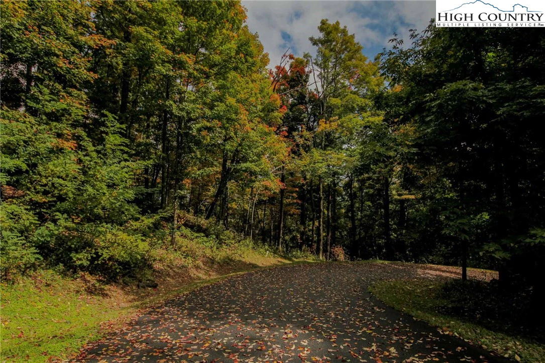 Image number 3 for the current listing