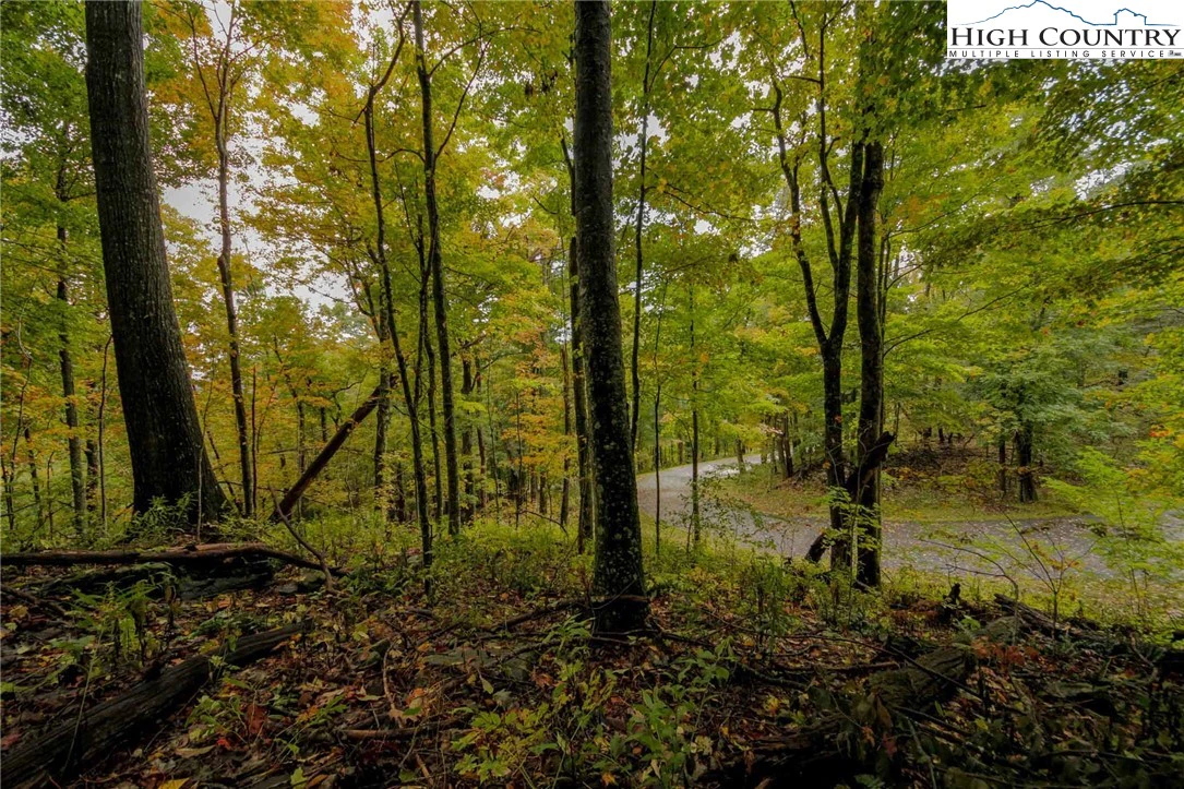 Image number 7 for the current listing