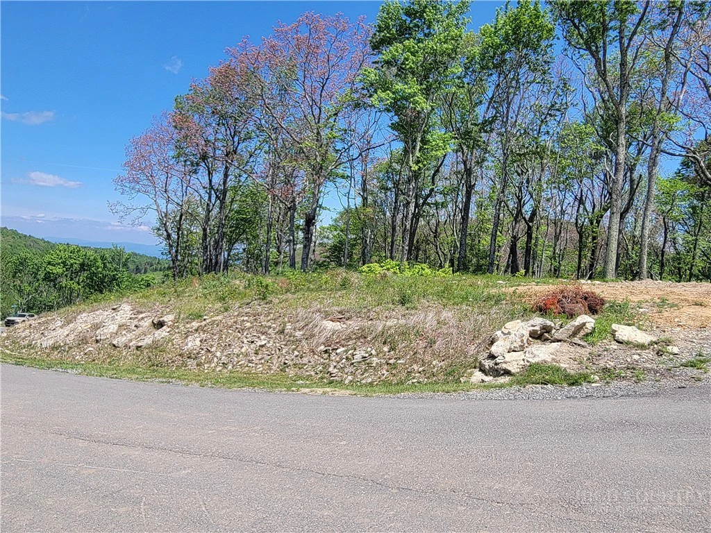 Image number 7 for the current listing