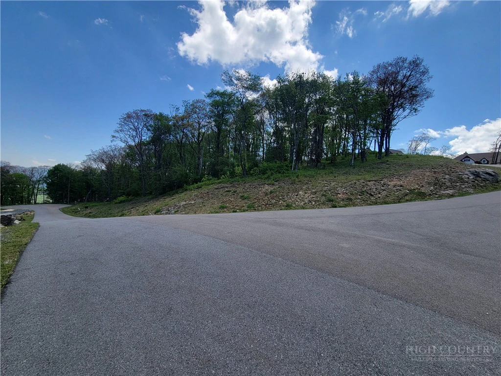 Image number 5 for the current listing