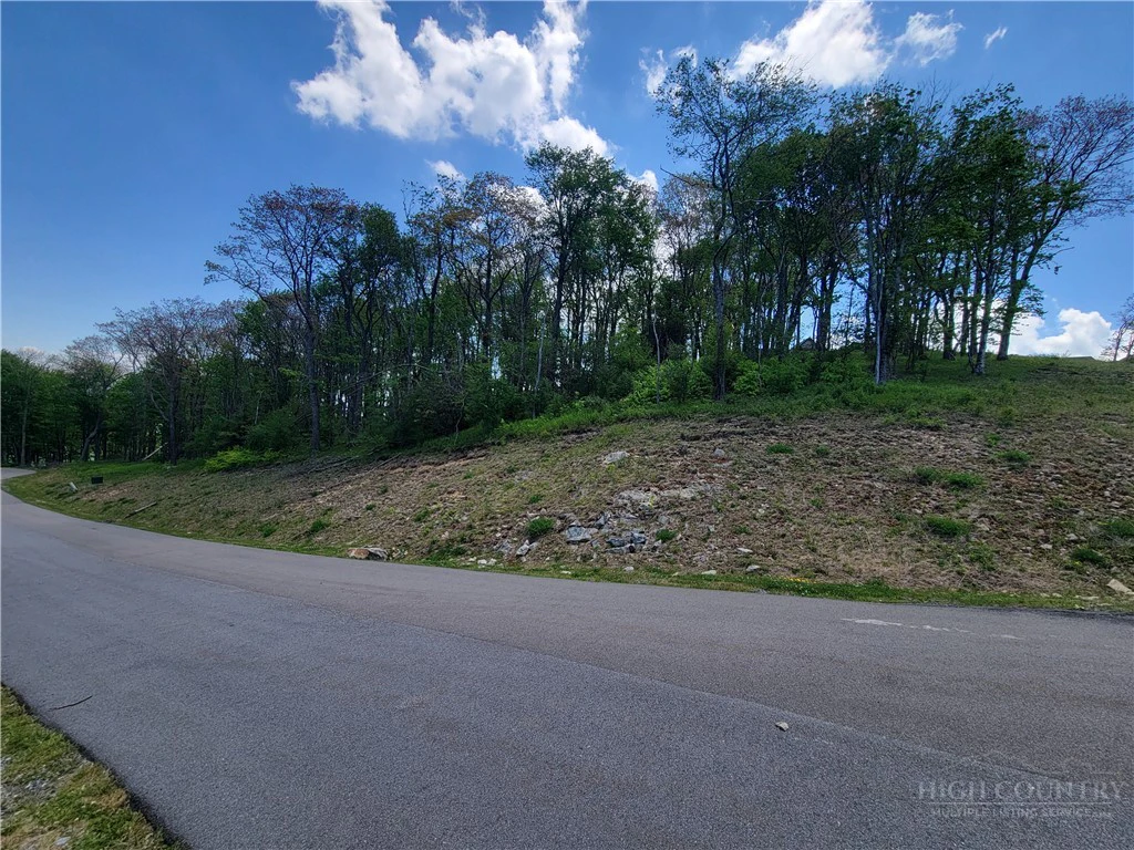 Image number 3 for the current listing