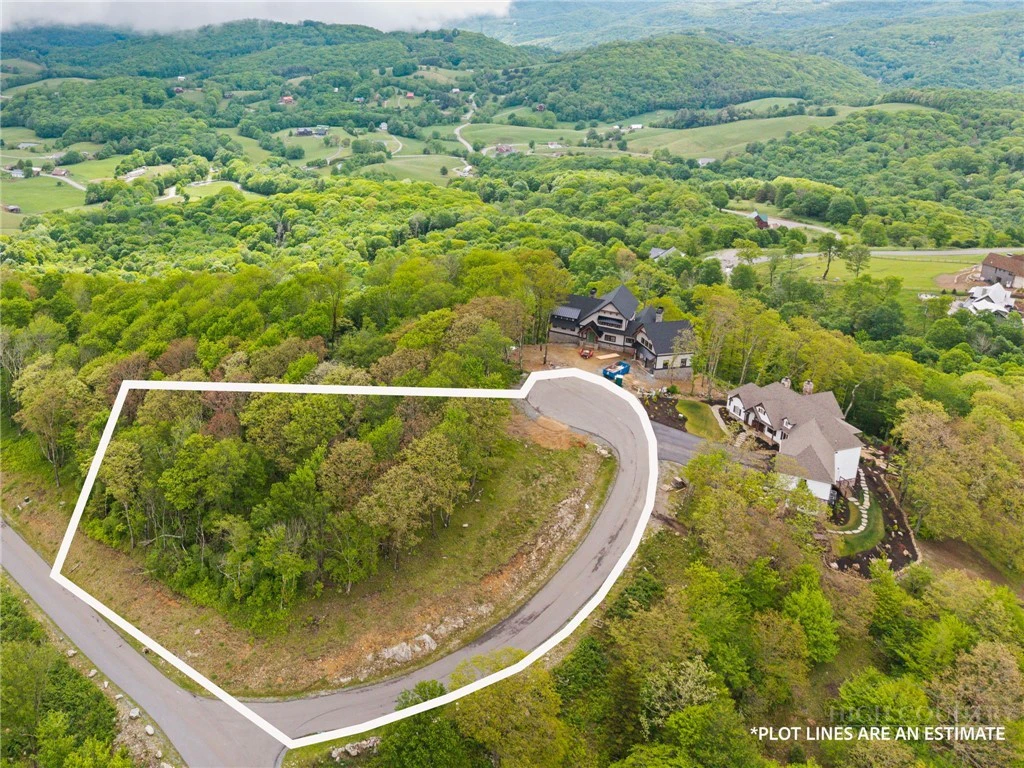 Image number 11 for the current listing