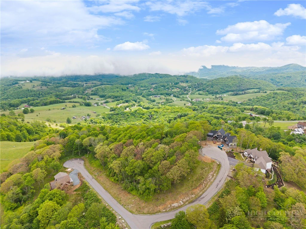 Image number 14 for the current listing