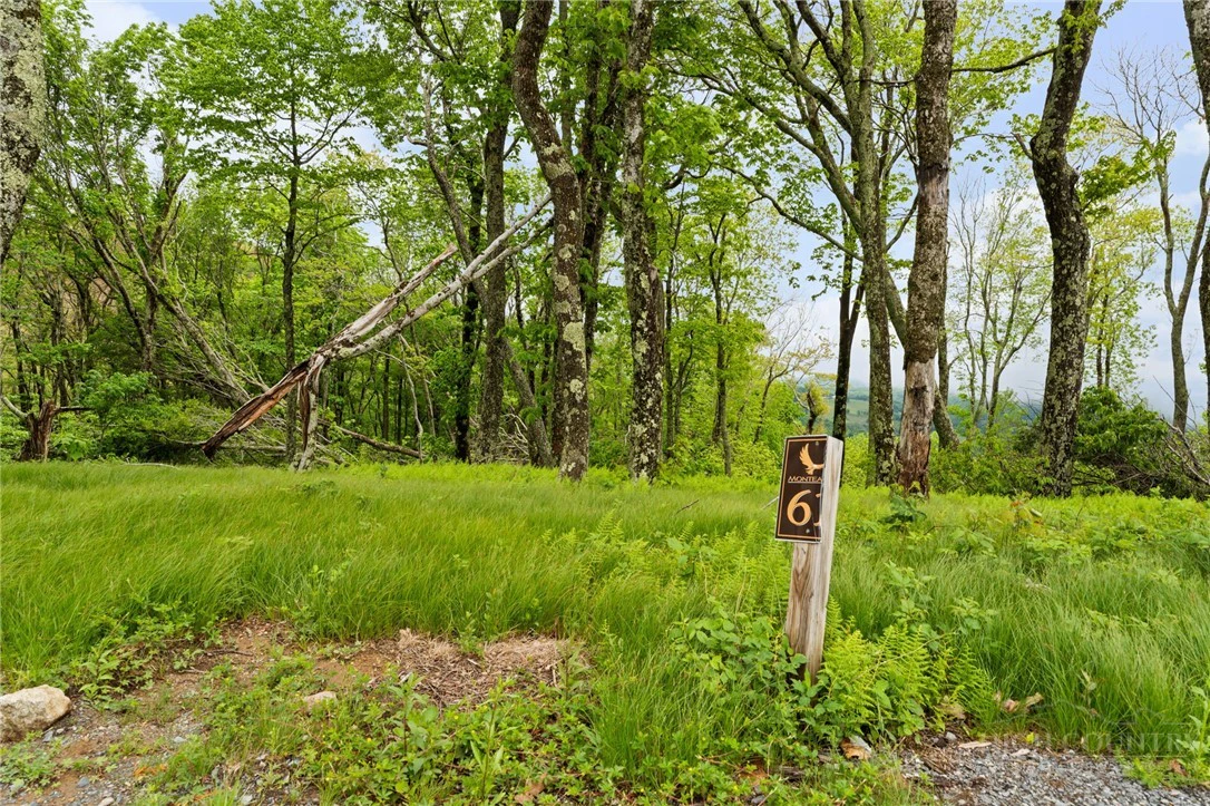 Image number 13 for the current listing