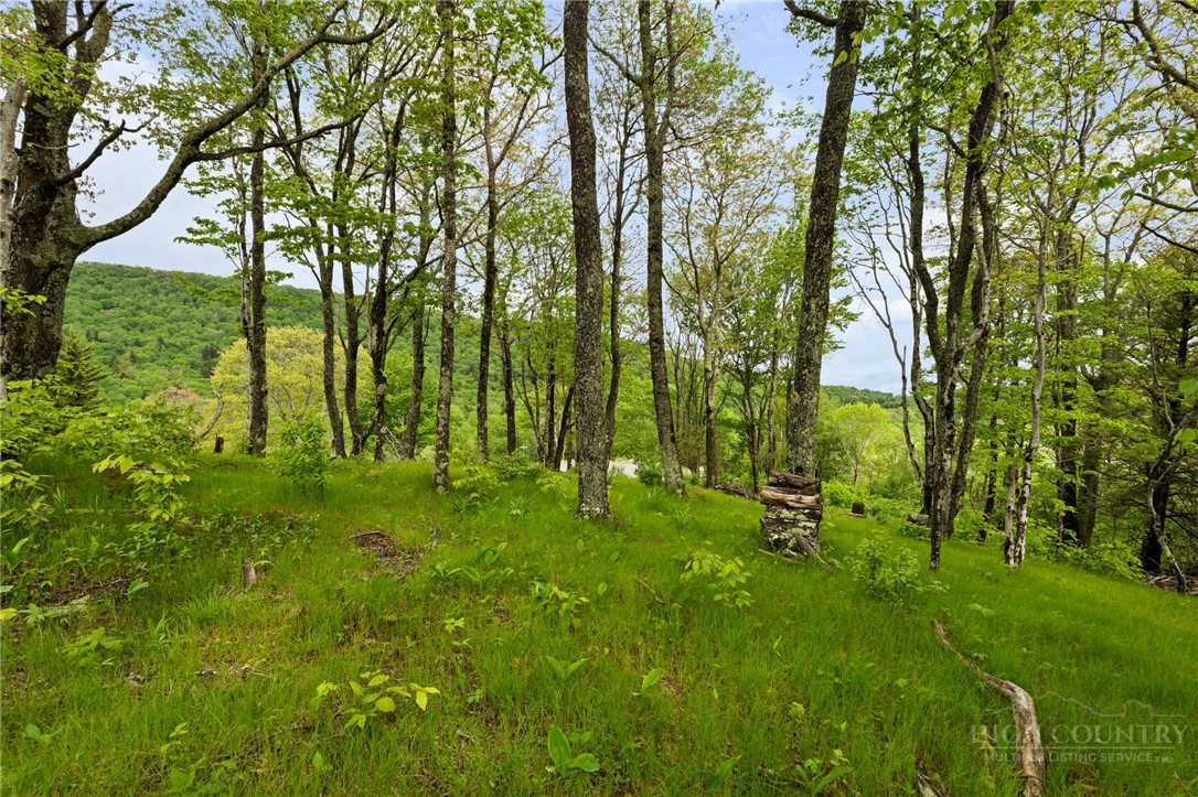 Image number 12 for the current listing