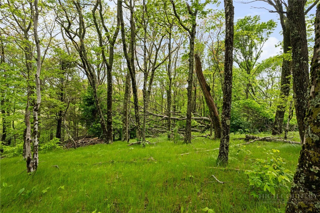 Image number 16 for the current listing