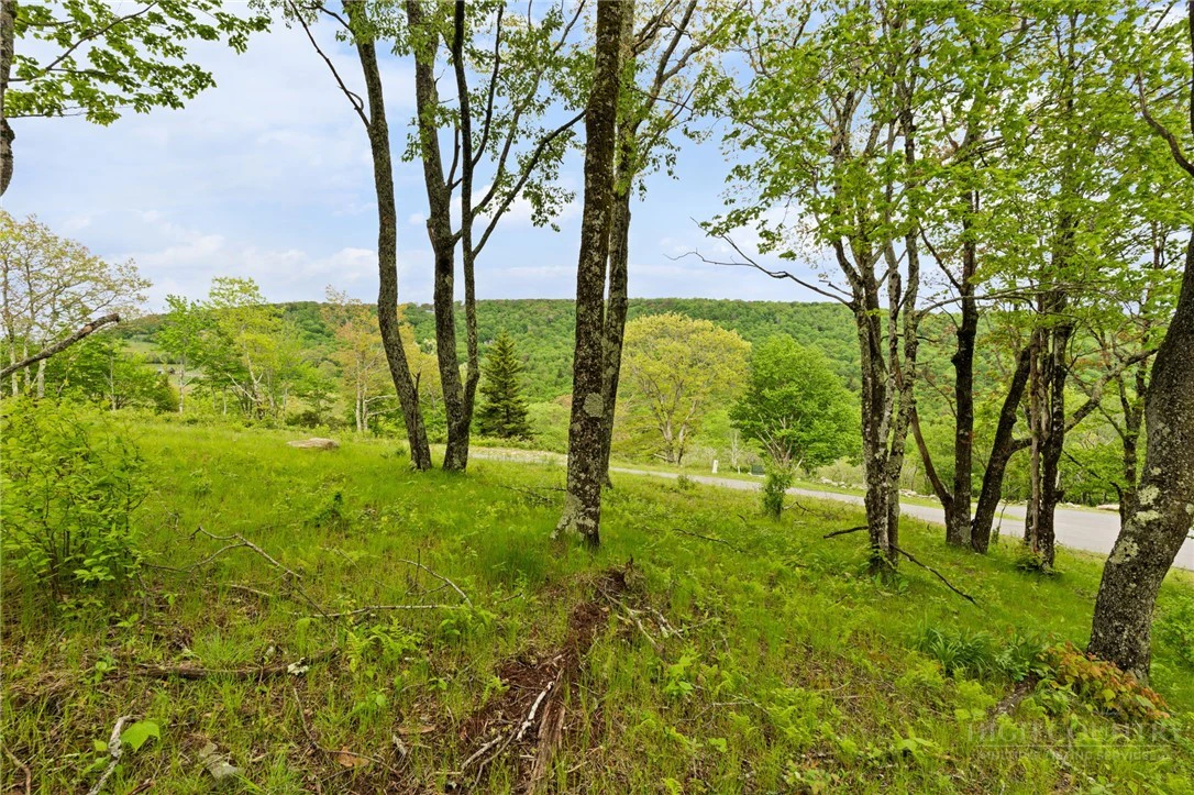 Image number 8 for the current listing