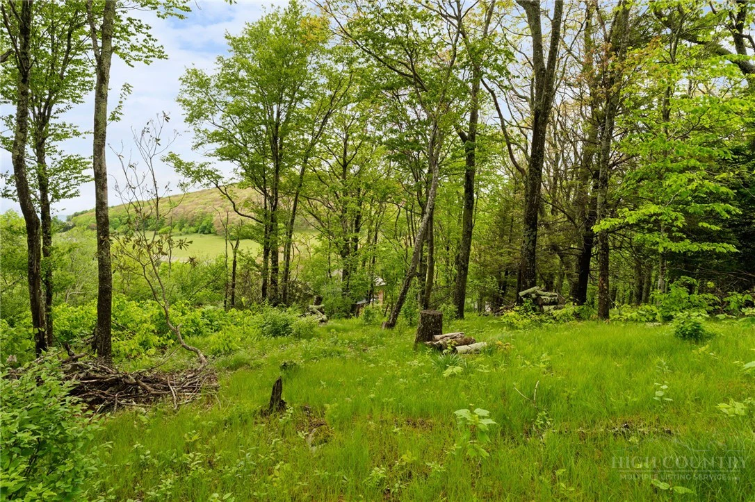 Image number 17 for the current listing