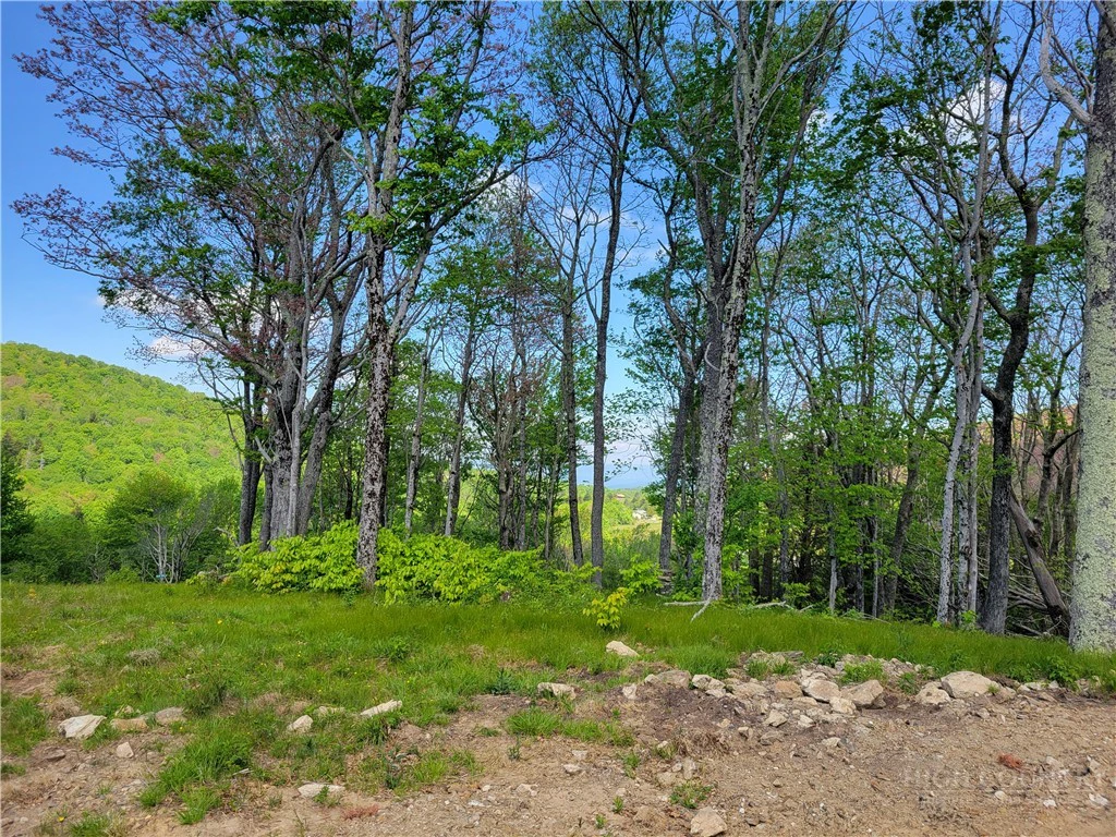 Image number 9 for the current listing
