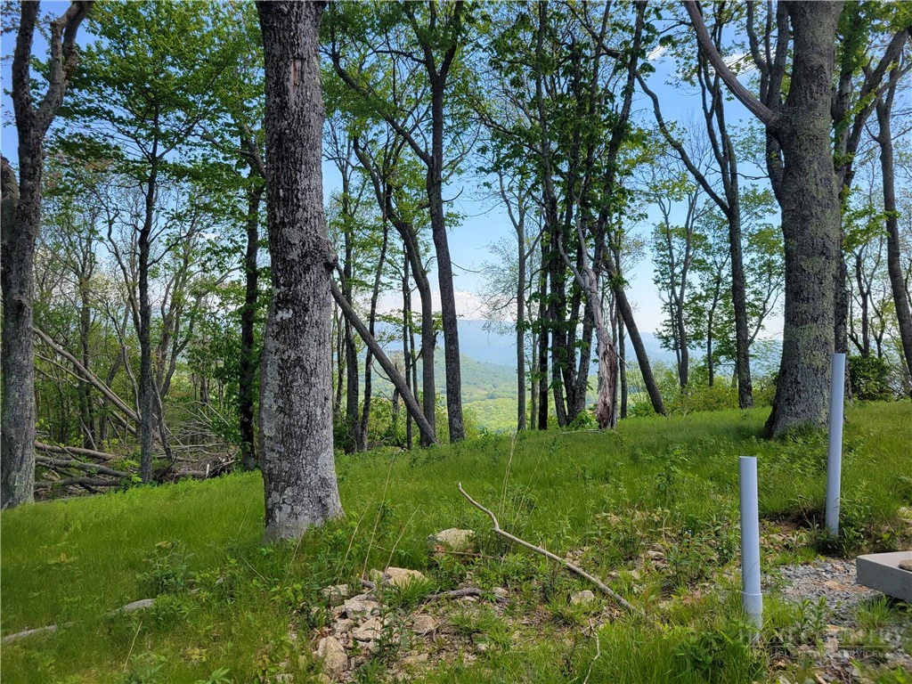 Image number 10 for the current listing
