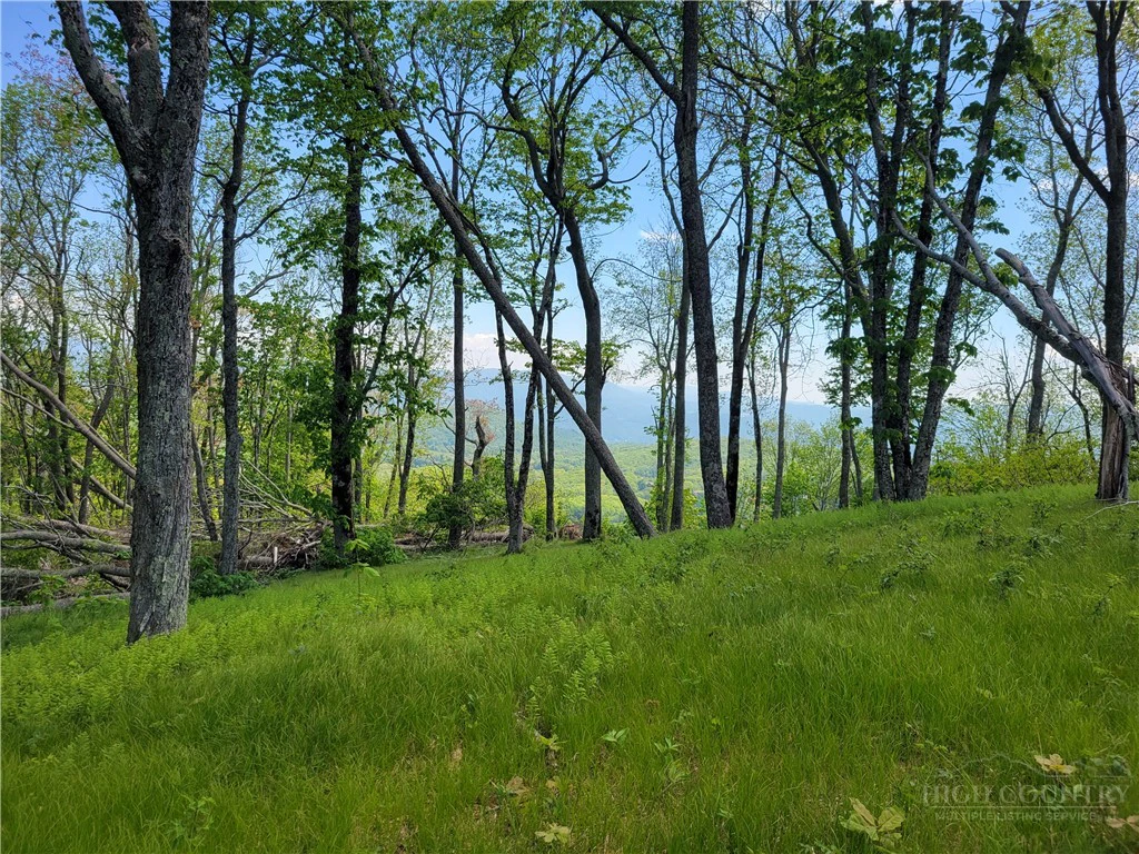 Image number 1 for the current listing