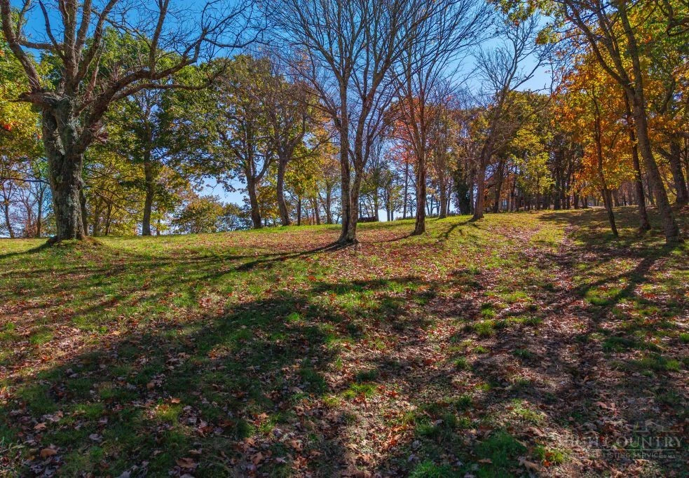 Image number 2 for the current listing