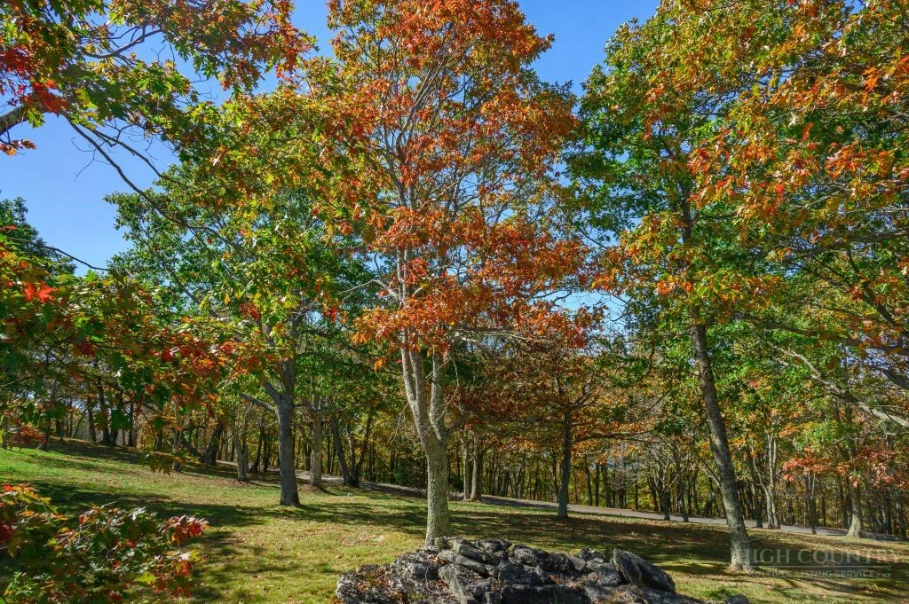 Image number 3 for the current listing