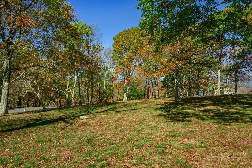 Image number 5 for the current listing