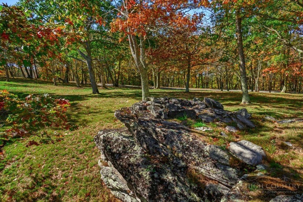Image number 6 for the current listing