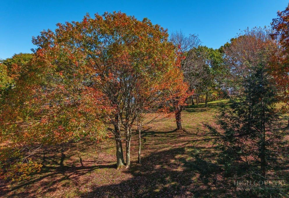 Image number 7 for the current listing