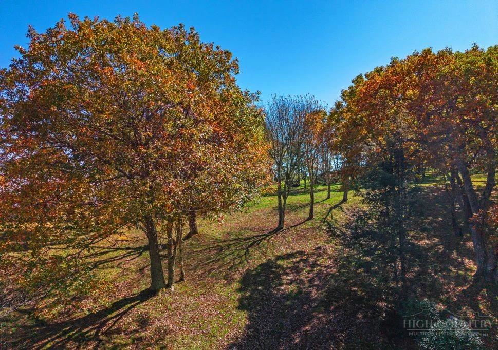 Image number 9 for the current listing