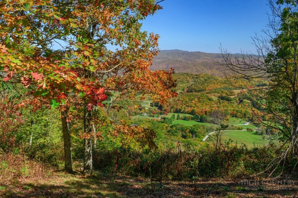 Image number 11 for the current listing
