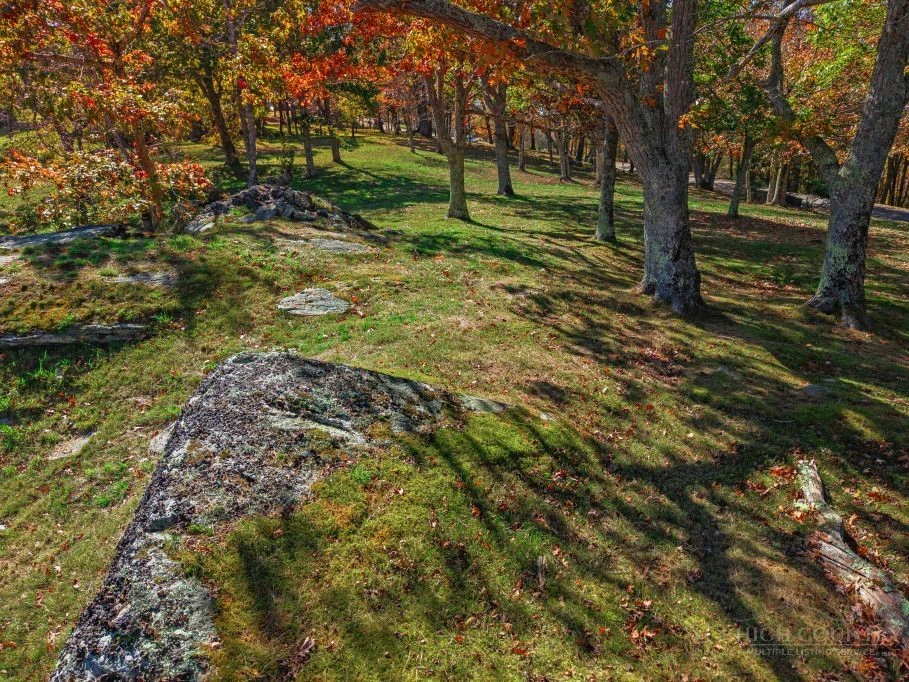 Image number 19 for the current listing