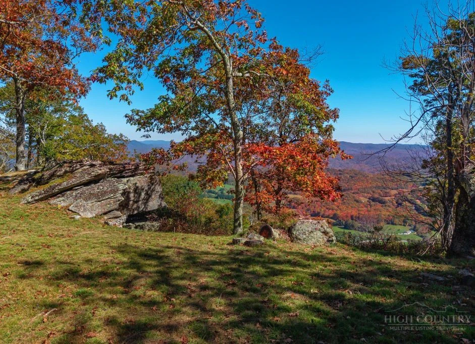 Image number 21 for the current listing