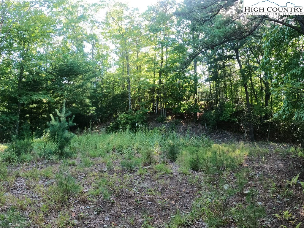 Image number 2 for the current listing