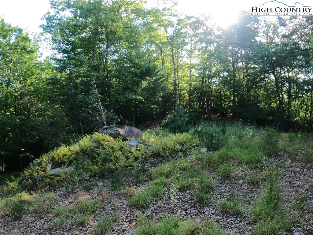 Image number 3 for the current listing