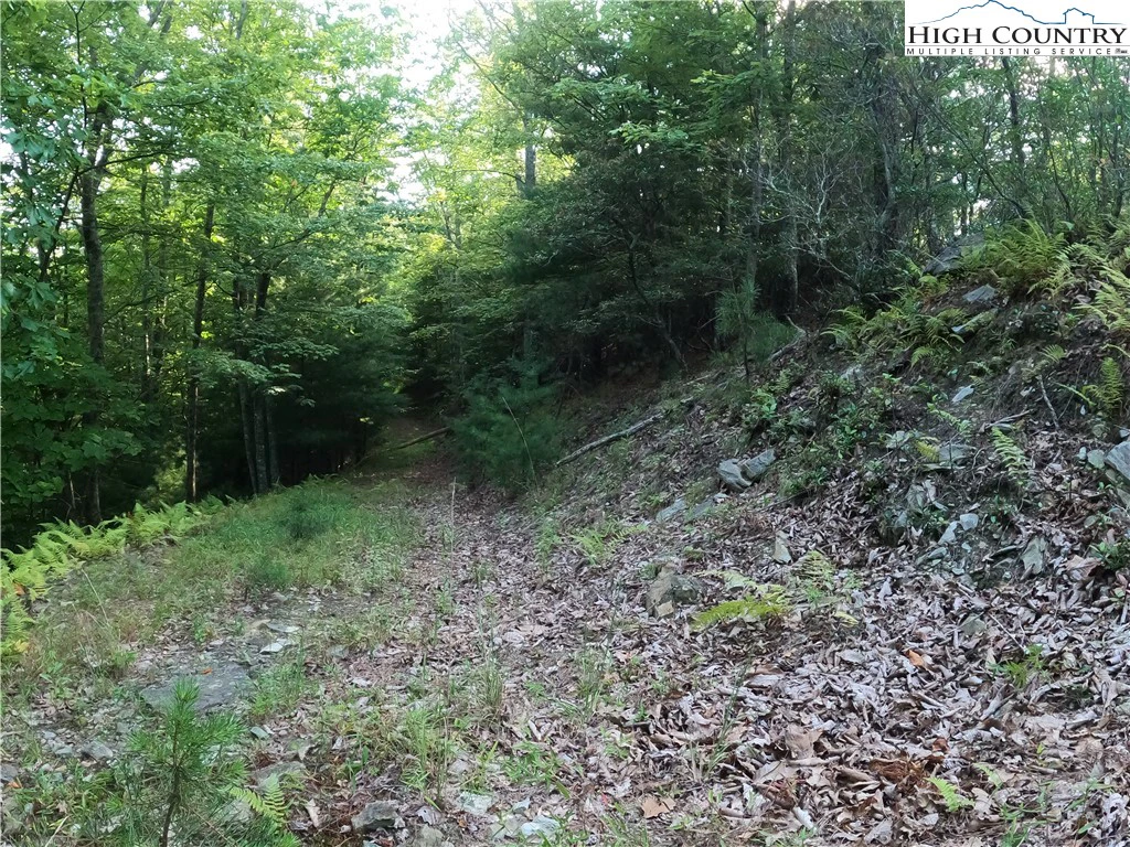 Image number 4 for the current listing