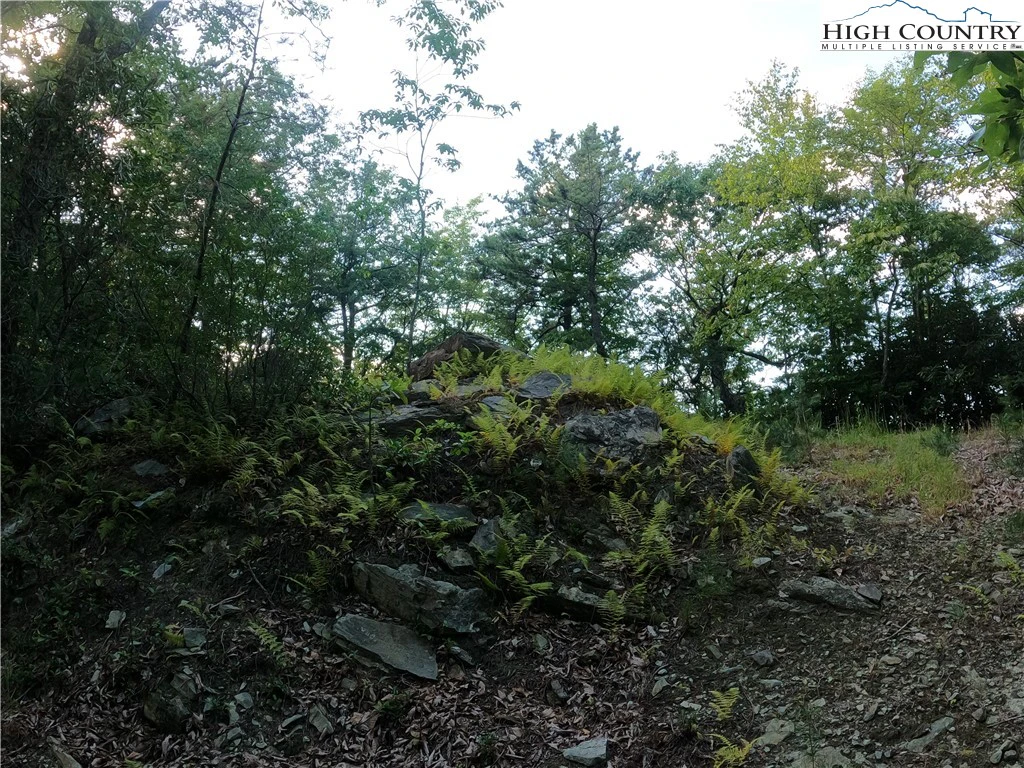 Image number 5 for the current listing
