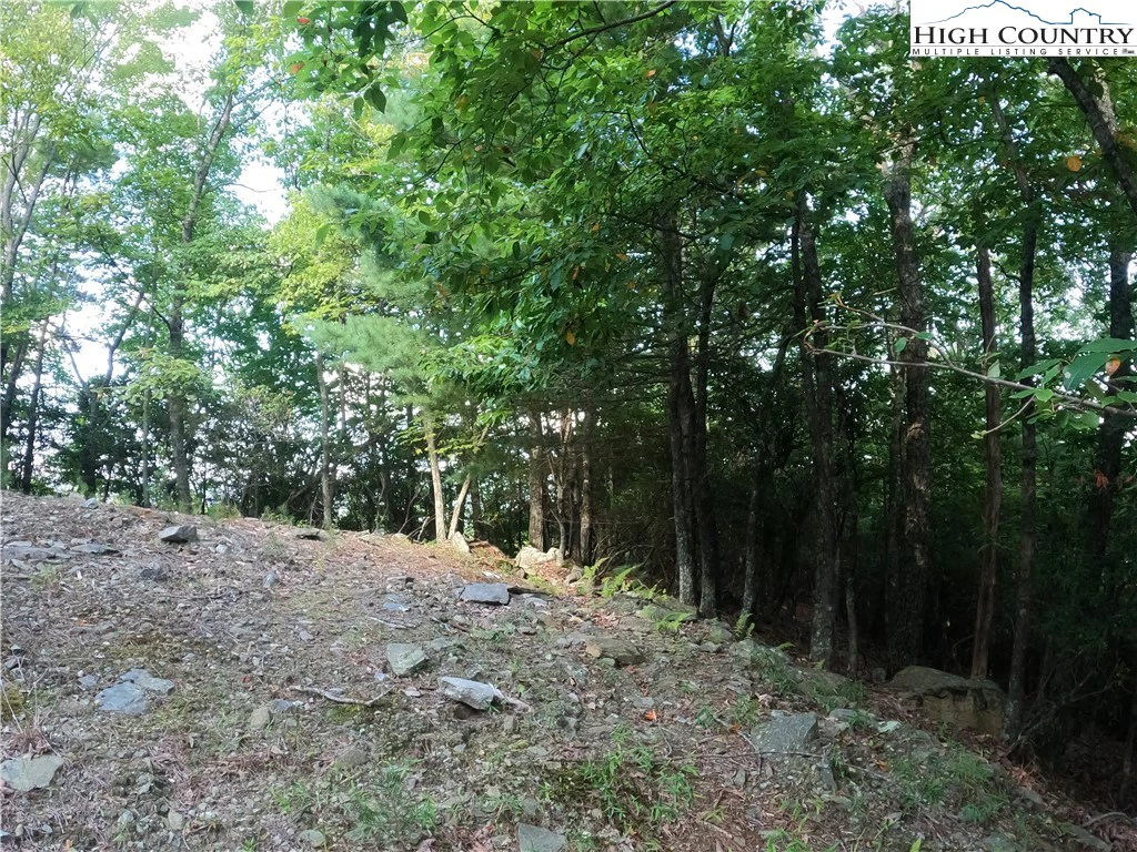 Image number 6 for the current listing