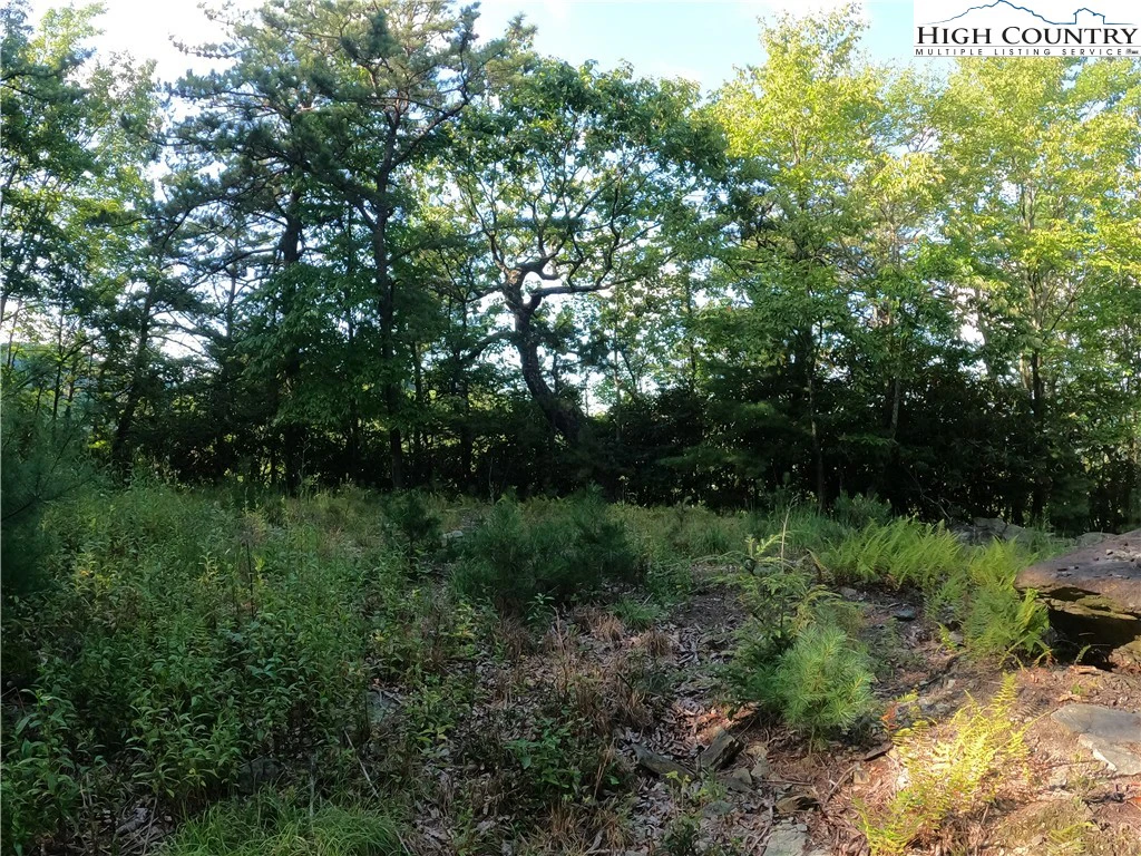 Image number 7 for the current listing