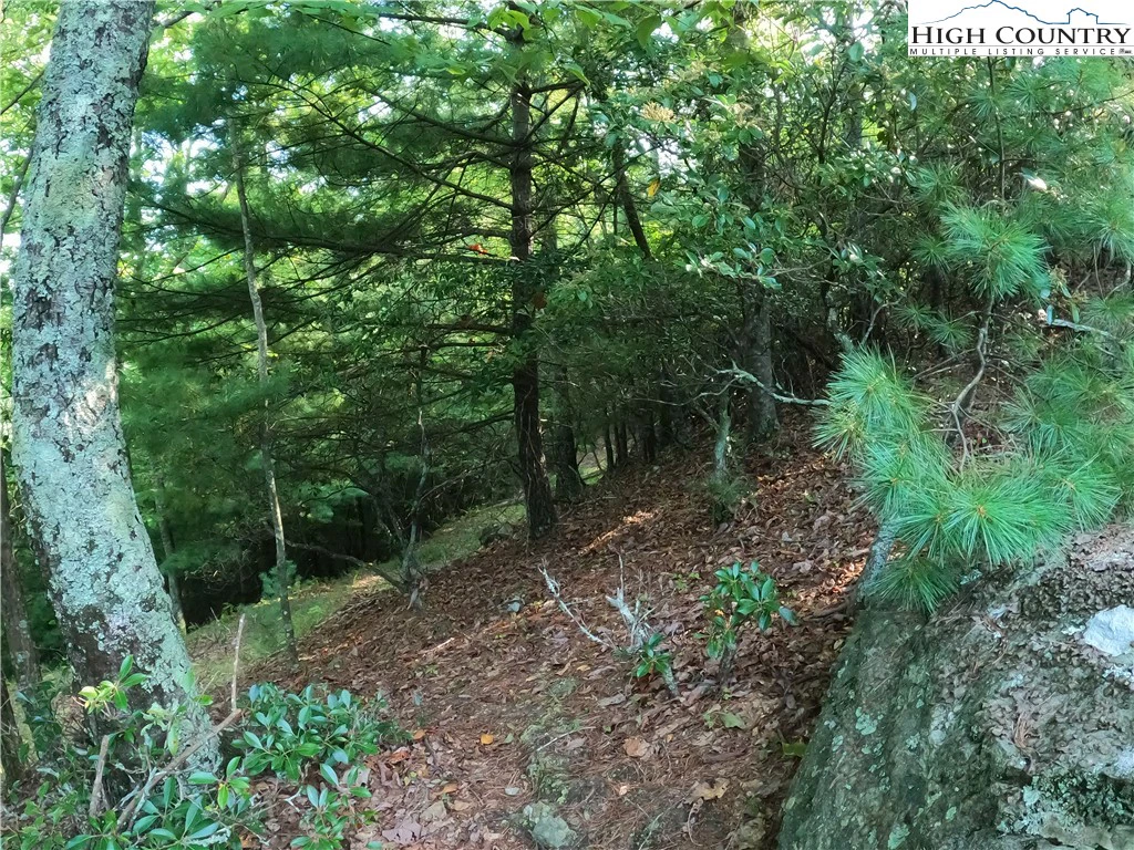 Image number 9 for the current listing