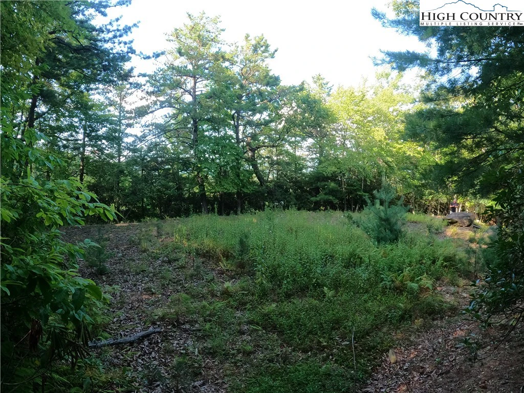 Image number 10 for the current listing