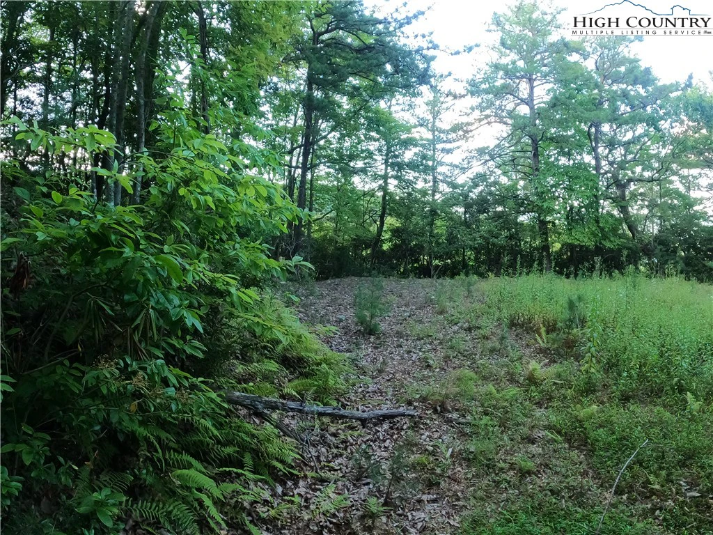 Image number 11 for the current listing