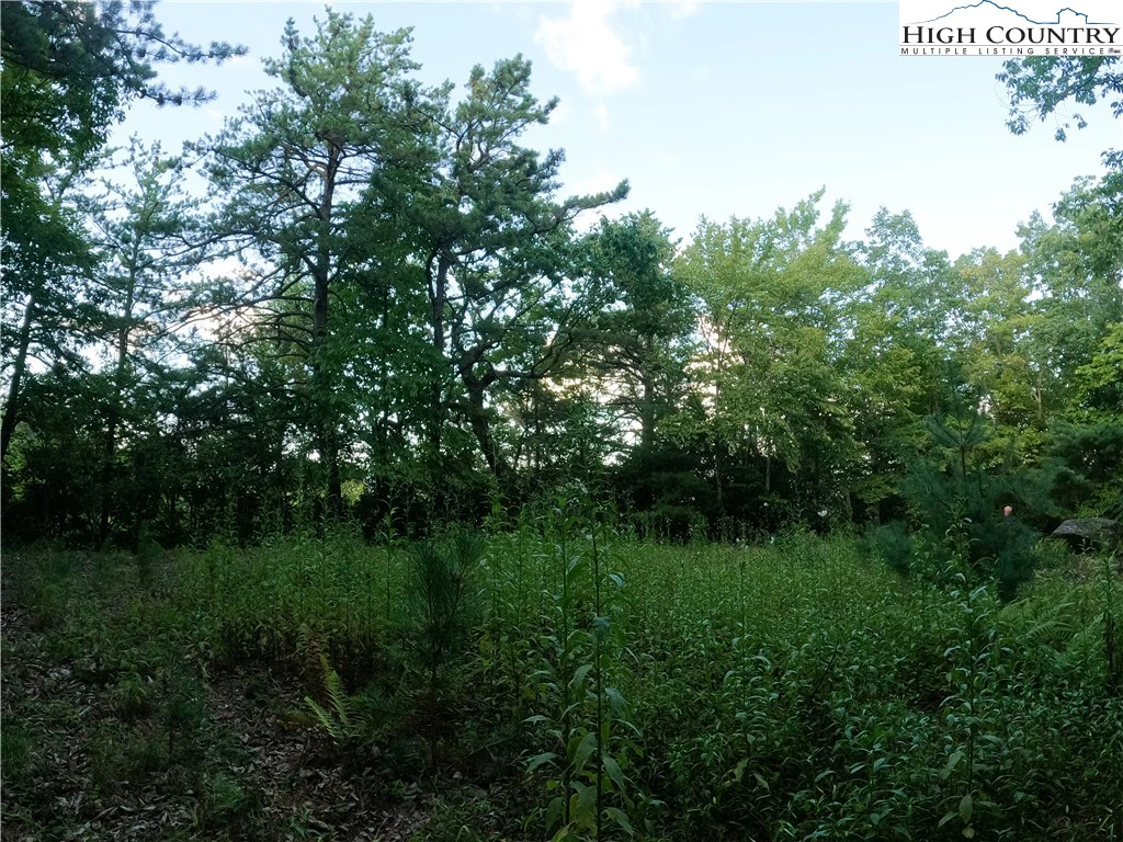 Image number 13 for the current listing