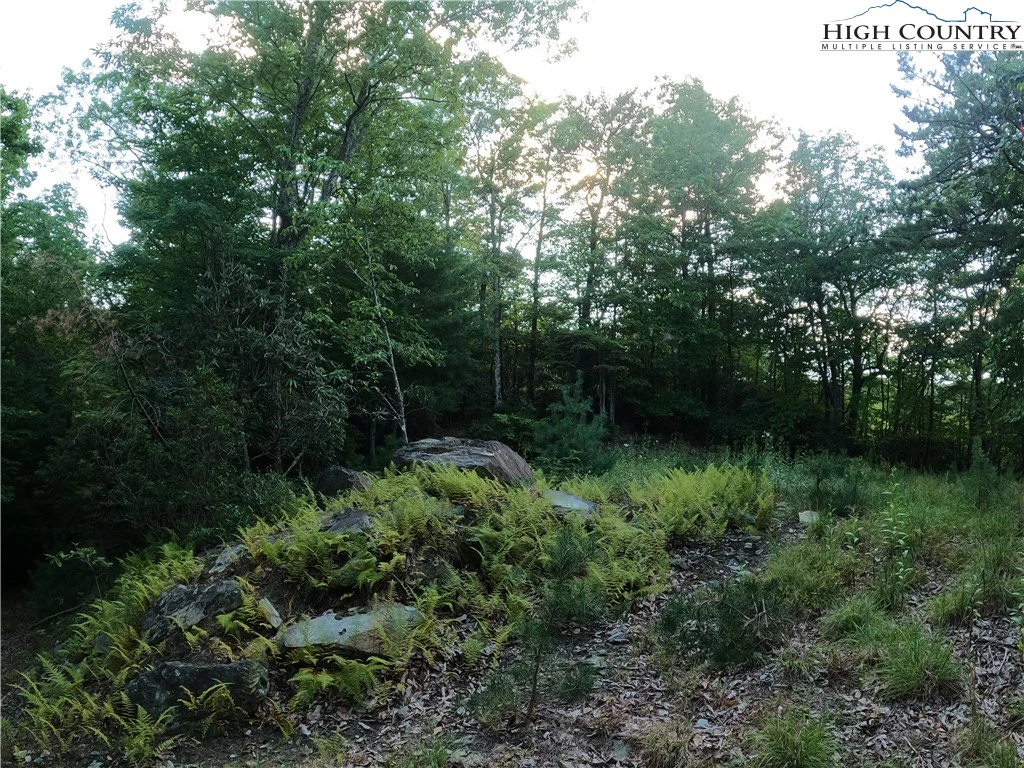 Image number 14 for the current listing