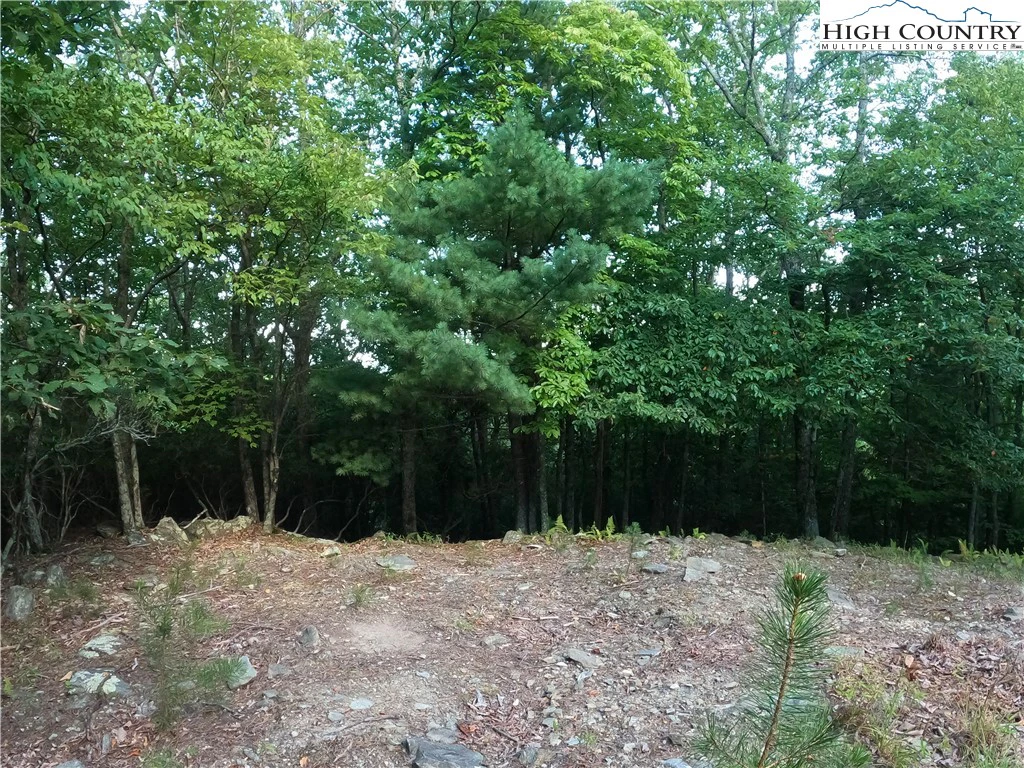 Image number 15 for the current listing