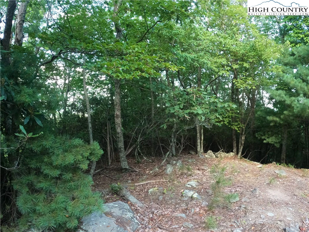 Image number 16 for the current listing