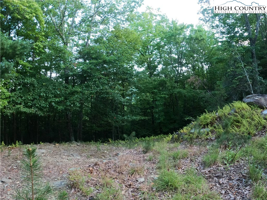 Image number 17 for the current listing