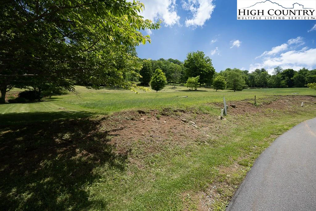 Image number 1 for the current listing