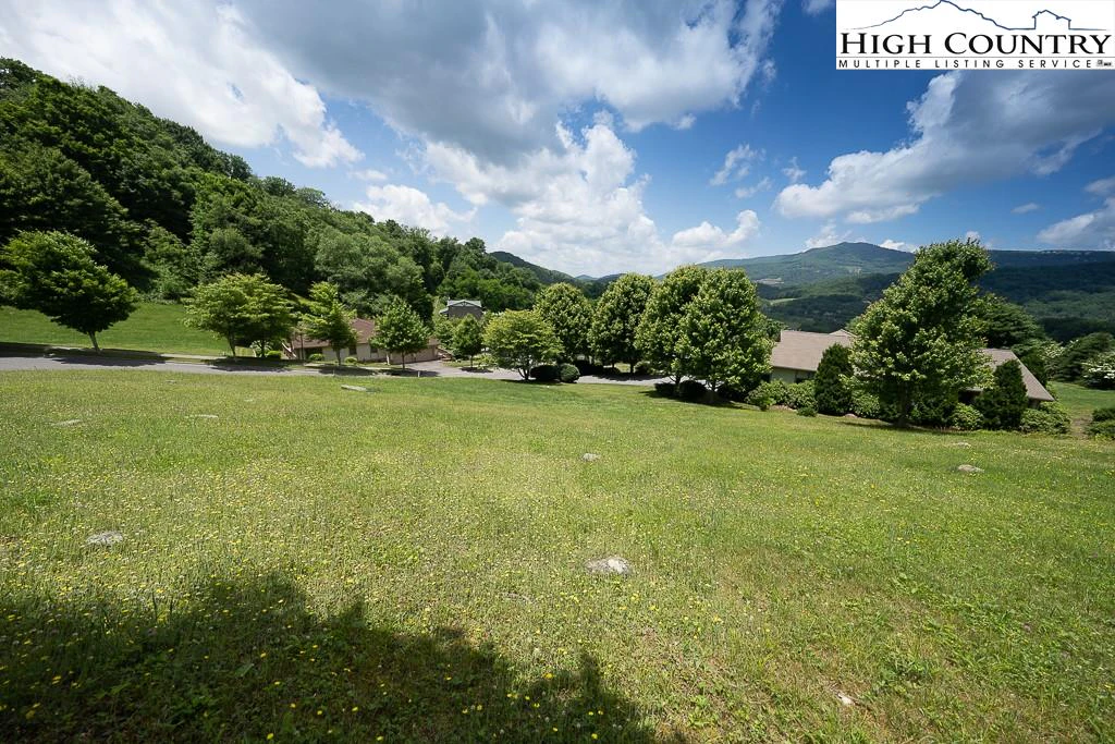 Image number 5 for the current listing