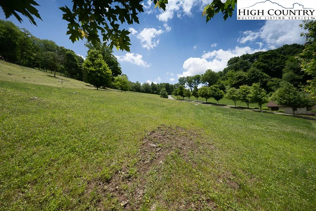 Image number 6 for the current listing