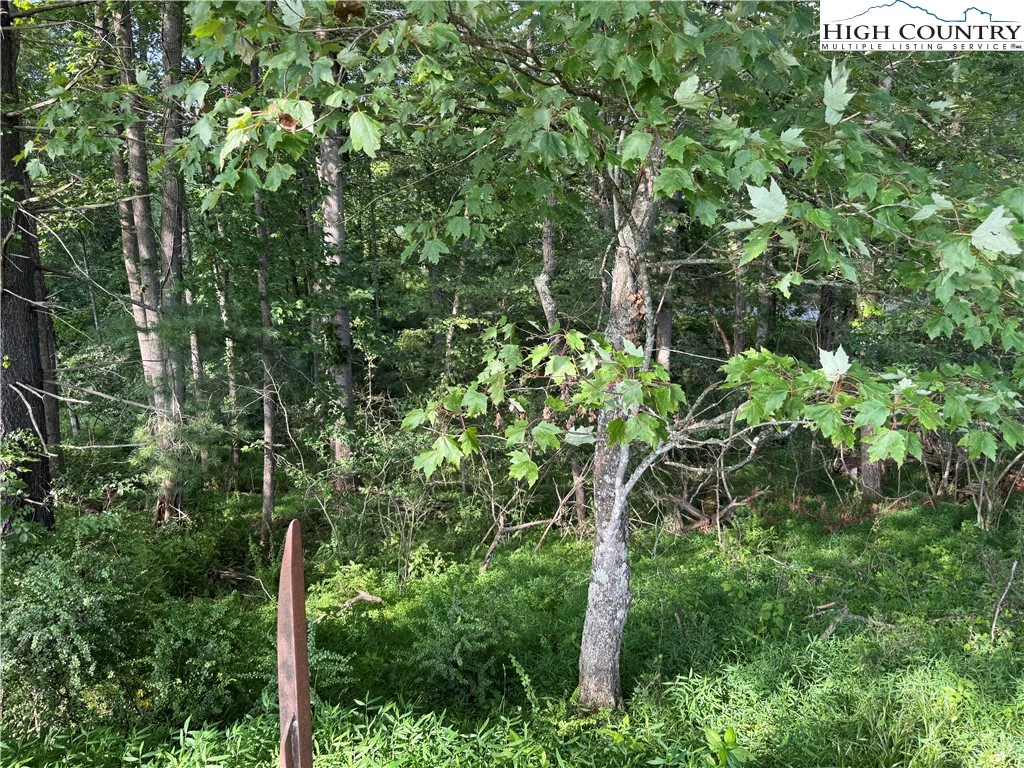 Image number 1 for the current listing