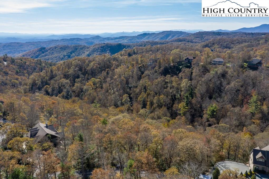 Image number 2 for the current listing