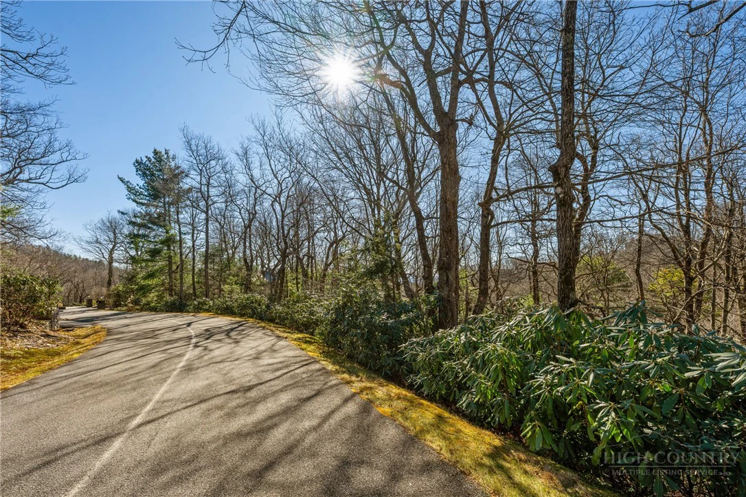 Image number 3 for the current listing