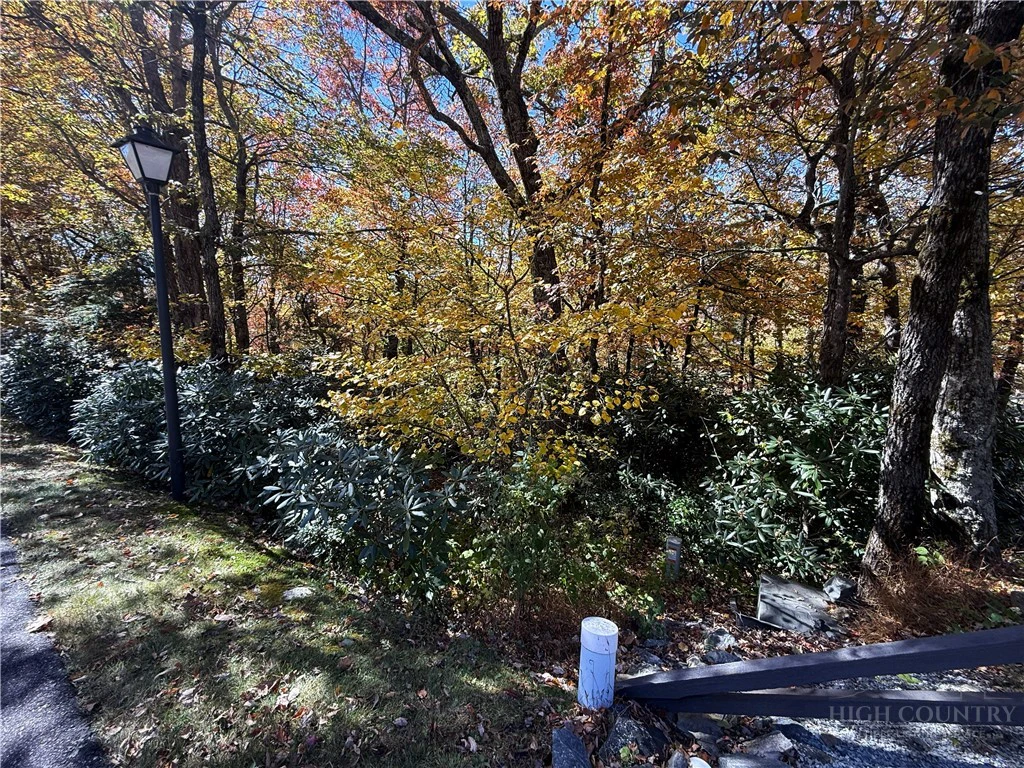 Image number 5 for the current listing