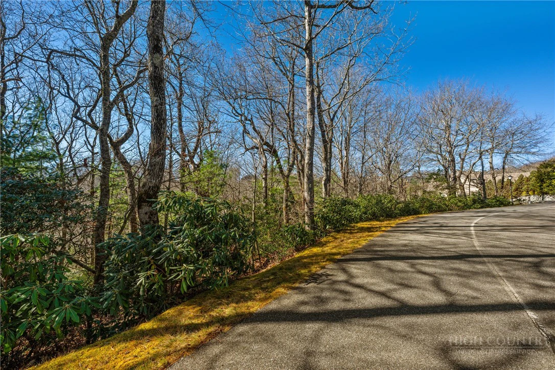 Image number 6 for the current listing