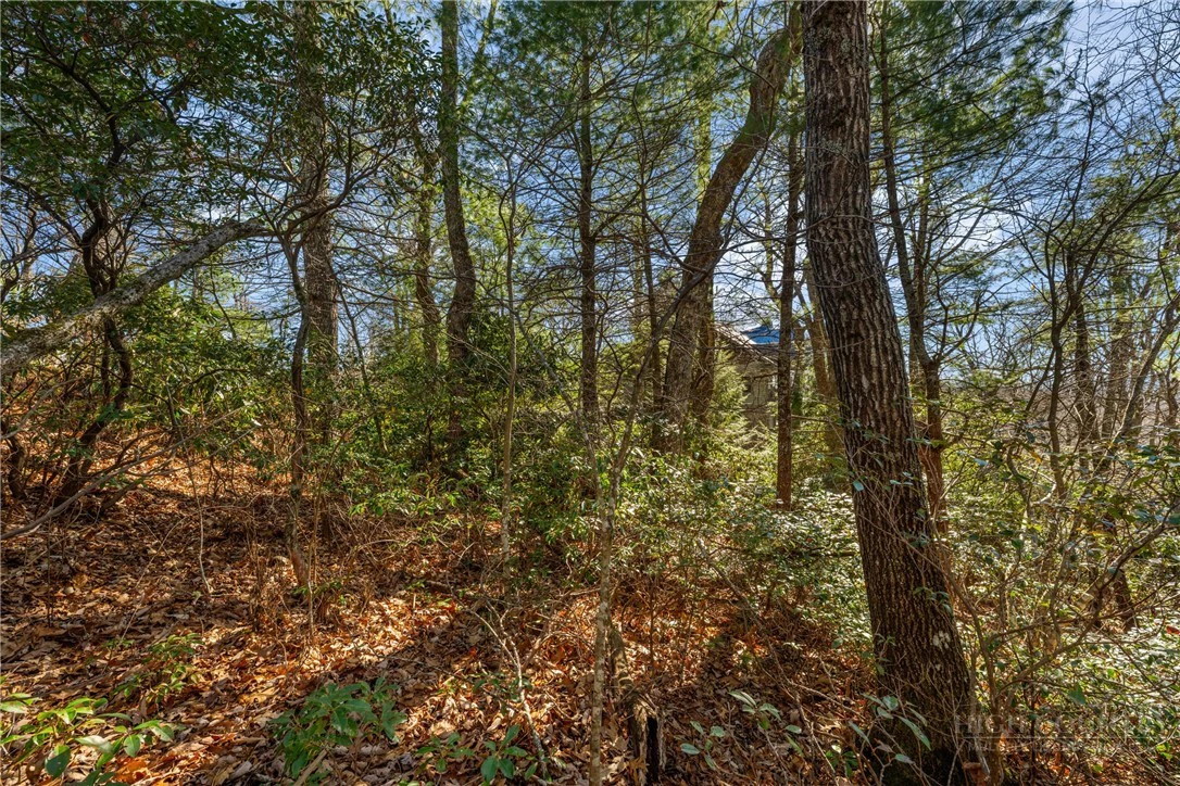 Image number 7 for the current listing