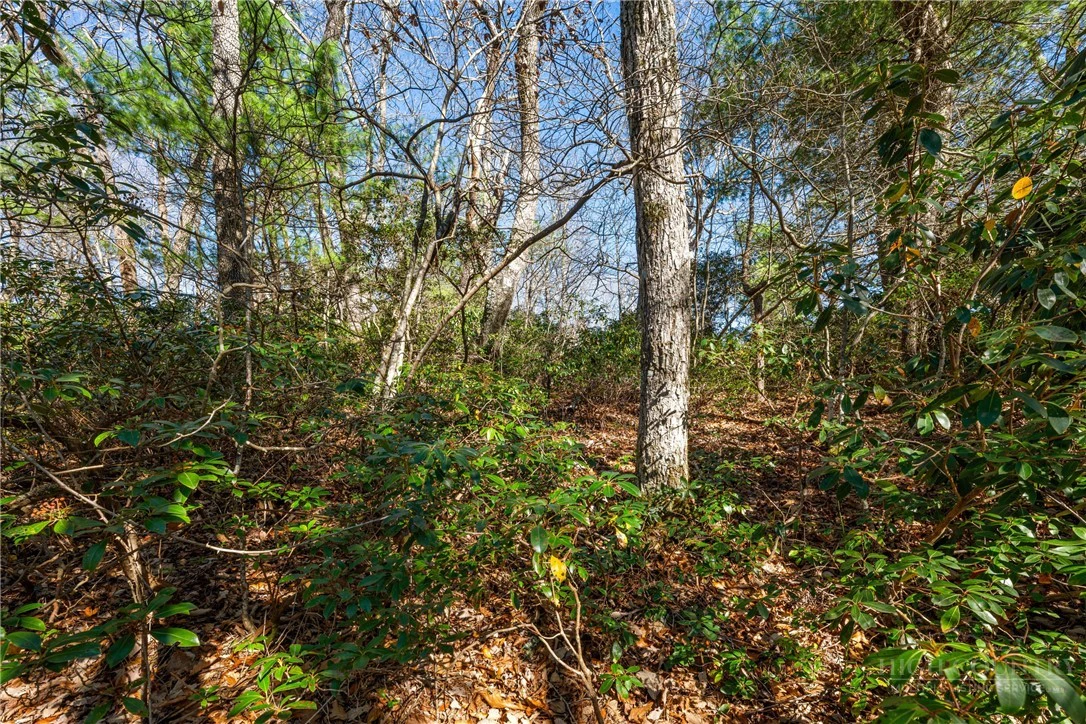 Image number 9 for the current listing