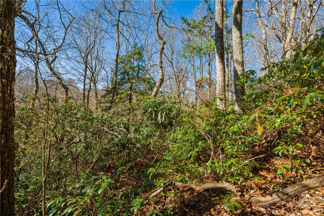 Image number 11 for the current listing