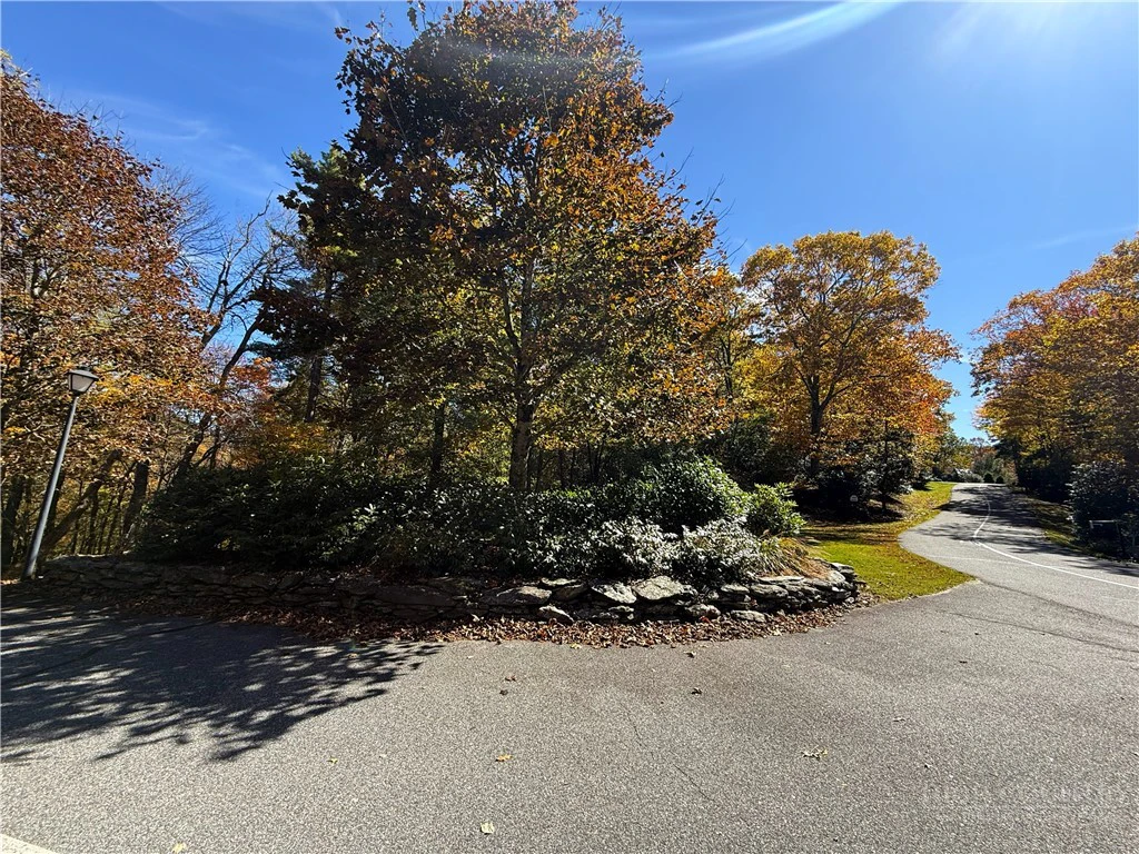 Image number 16 for the current listing
